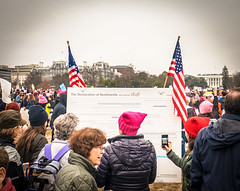 2017.01.21 Women's March Washington, DC USA 2 00151