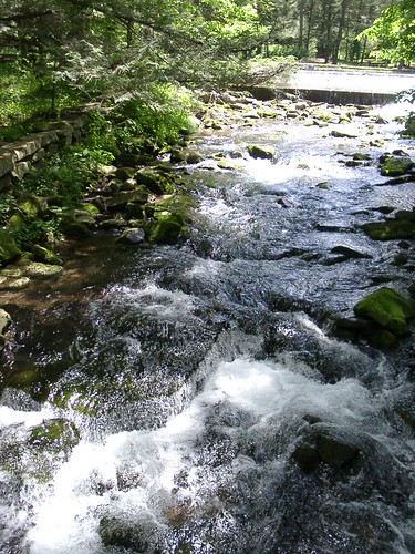 Creek at Ravensburg State Park