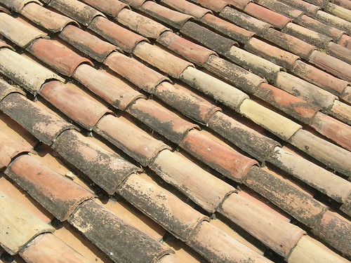 Typical Provence-style roof tiles by Dano, on Flickr