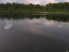Alfred's Pond