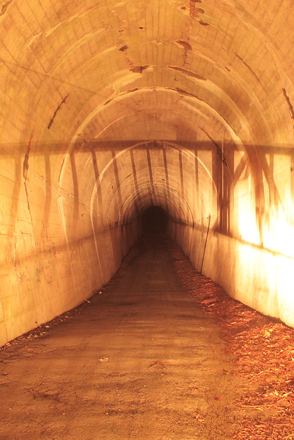漆黒のトンネル