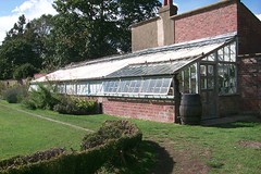 Charles Darwin's greenhouse-cum-laboratory