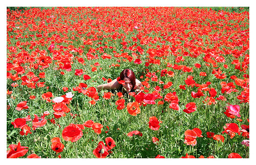 me in a sea of poppies