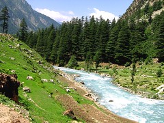 Amazing valley of Swat (meansmuchtome) Tags: blue trees pakistan white mountain mountains green water beautiful clouds river valley fields forests swat hindukush
