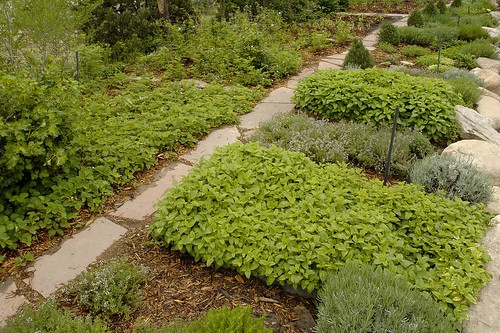 sprn023 Herb garden, wide by Rocky Pix