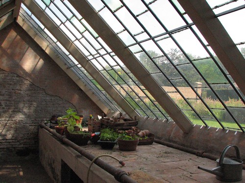Antique greenhouse interior by Jaydot.