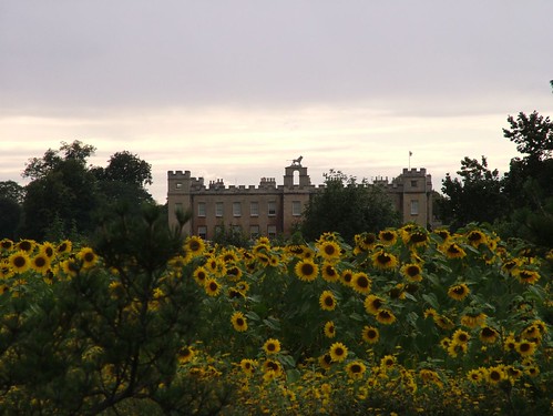Syon House as seen from Kew (© BerylM)