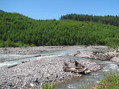 Nisqually River on 149+/- acres of Land for Sale