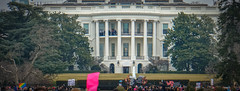 2017.01.21 Women's March Washington, DC USA 2 00155