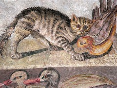 Colorful Cat Mosaic from a dining room (tricli...