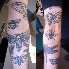 Butterfly tattoo,tattoo gallery,henna tattoo,tribal tattoo
