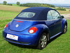 VW New Beetle Cabriolet I Verdeck