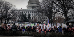 2017.01.29 Oppose Betsy DeVos Protest, Washington, DC USA 00228