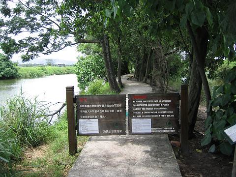 香港米埔沼澤及內后海灣拉姆薩爾國際重要濕地圖片8
