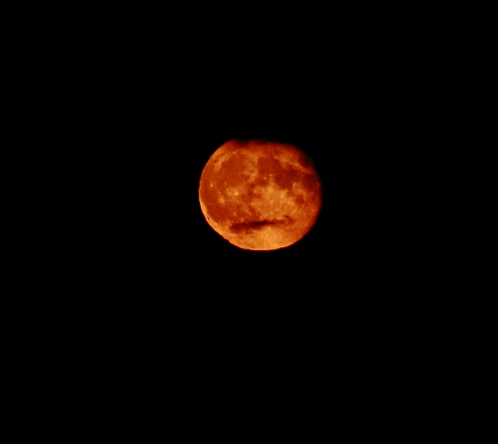 : bloody moon today