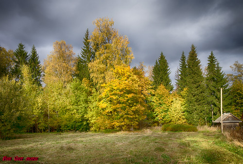 Autumn in Rozhdestveno ©  Andrey Korchagin