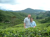 Lee & Lucy at the Tea Plantations