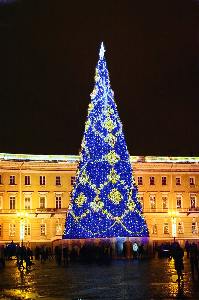 : Palace Square. The Main Christmas Tree of the City. Saint-Petersburg.