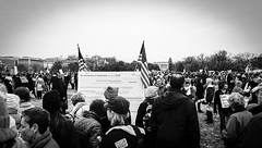 2017.01.21 Women's March Washington, DC USA 2 00150