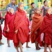 DSC00012/Burma/Yangon/Shwédagon Temple/Novice's Monk