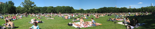 NYC Central Park Sheep Meadow Stitch