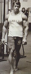 Arnold Schwarzenegger Big Muscles Bodybuilder Movie Star California Governator M1T by Tall Fool