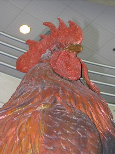 A Big Cock