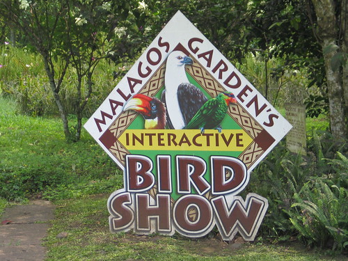 Malagos Garden Resort Davao Bird Show