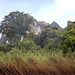 Kajakken bij Elephant Hills