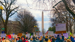 2017.01.29 No Muslim Ban Protest, Washington, DC USA 00269