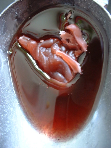 aborted human fetus. to see an aborted fetus.