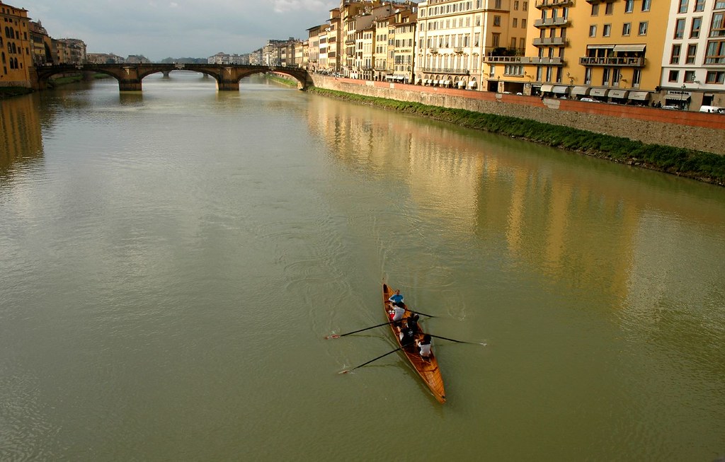 sculling on the arno river 2