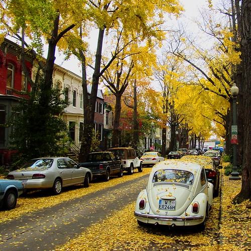 Autumn in DC