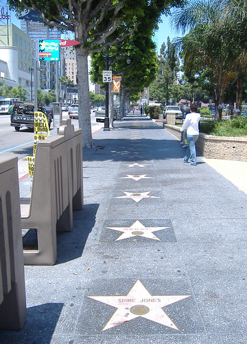 Hollywood Walk of Fame (2006)