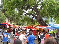 The Feria