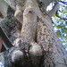 Manhood on a Tree by miusam-ck