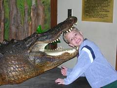 my brother was eaten by an alligator