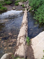20060730 Creek Crossing