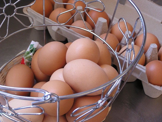 Eggs in One Basket