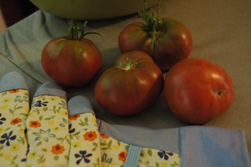My Homegrown Tomatoes!