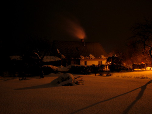 In_the_cold_of_the_night ©   