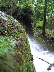 Mossy Bedrock Ledge, Buttermilk Falls (Walpack...