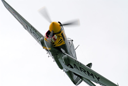Warbird picture - Mustang P-40 Warhawk