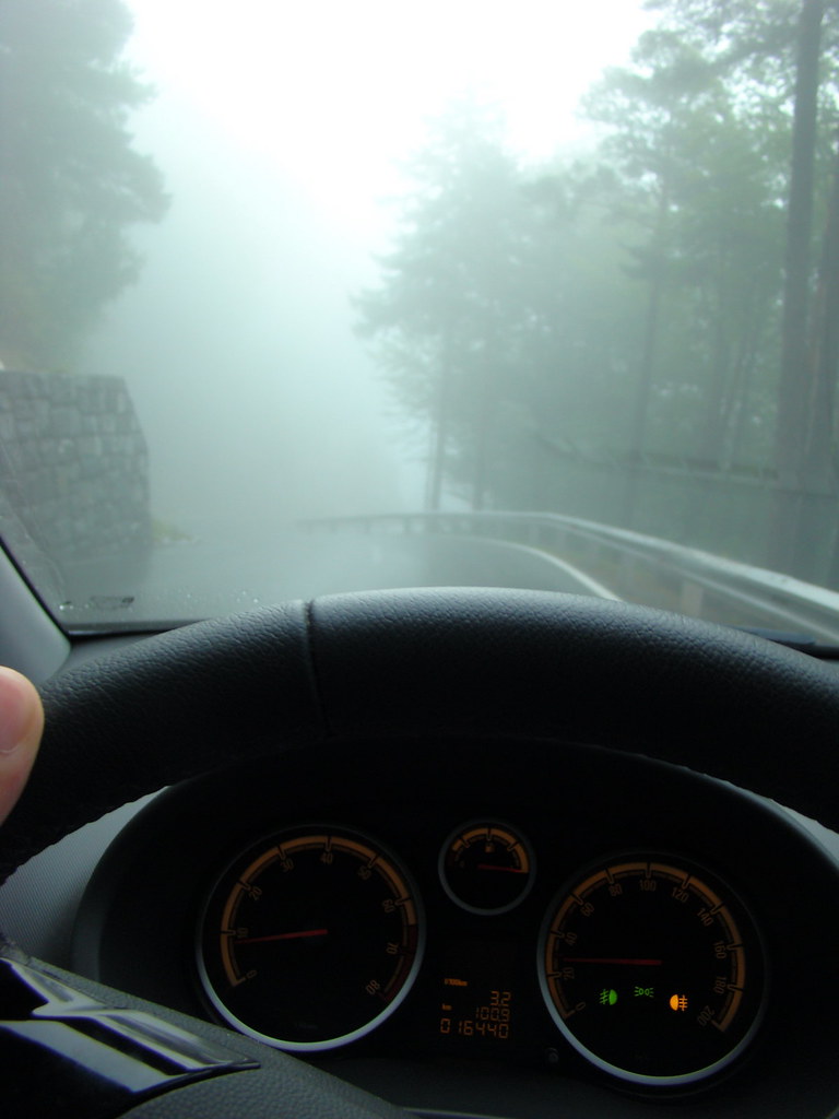 фото: Дорога в тумане