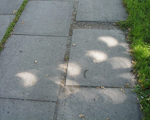 The solar eclipse of Aug 11, 1999, projected through leaves onto the sidewalk