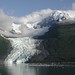 Glacier Bay National Park: Brady Glacier