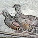 Roman Mosaic 2