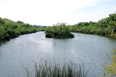 San Diego River