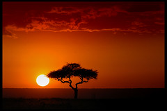Sunset in Kenya - Masai Mara