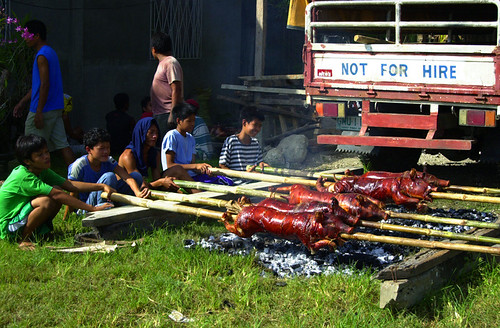 Philippines, boy, lechon, traditional lechon Pinoy,Filipino,Pilipino Buhay,Life,people,pictures,photos pig city rural